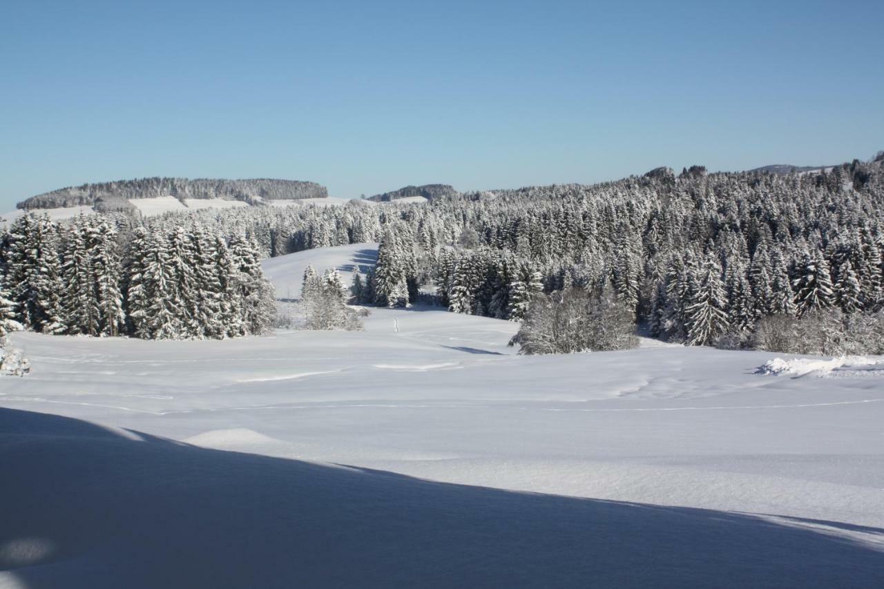 Ferienwohnung Nagelfluh Allgaeu Oberreute Bagian luar foto